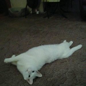 Meet your Posher, Ann